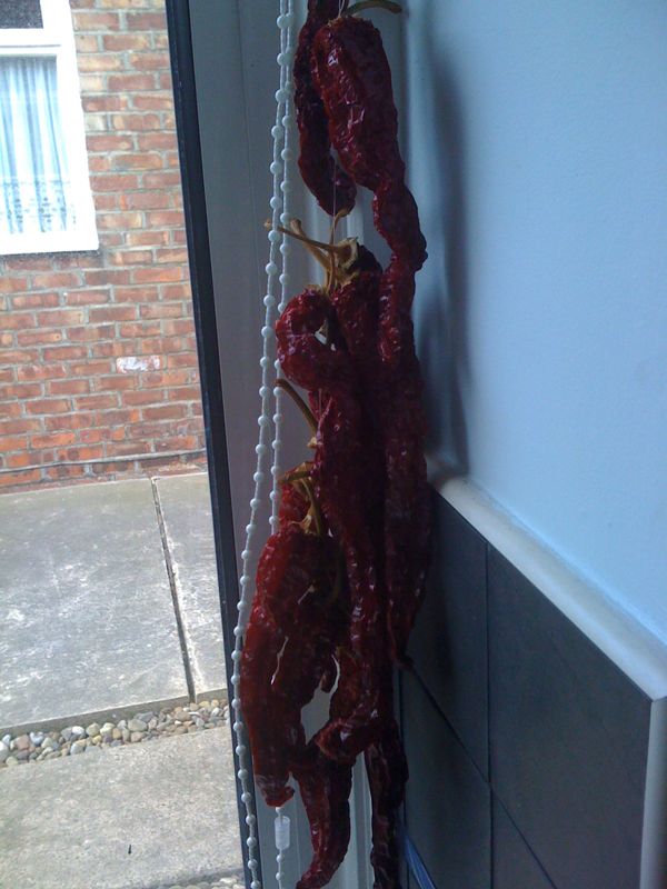 Chilli ristra