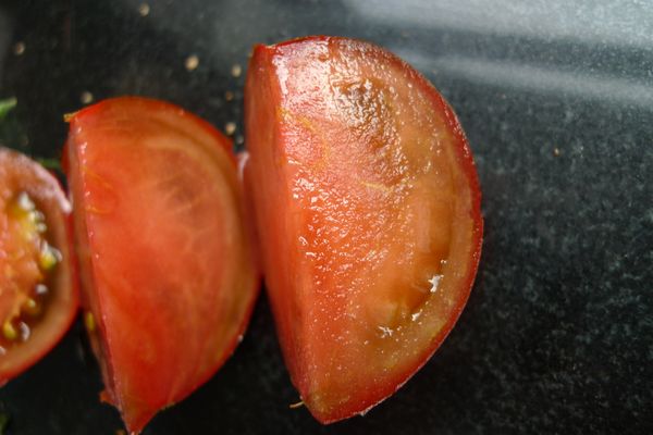 p1010079