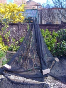 Netted teepee